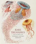 KNYGA Judith Magee Rare Treasures