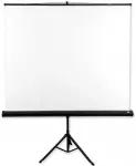 Projekcinis ekranas su AVTEK Tripod Standard 175 stovu (i&scaron;skleidžiamas rankiniu būdu; 175 x 175 cm; 1:1; 97 colių)