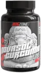 Kurkumino kapsulės Big Zone NovaSol&reg; 90 vnt