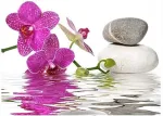 Dcidbei deimantinė tapyba orchidėjos 40 x 30 cm 5d deimantinės tapybos paveikslai orchidėjos violetinės deimantinės tapybos gėlės orchidėjos violetinė deimantinė tapyba pradedantiesiems deimantinė tapyba vaikams mergaitėms dėlionė gėlės