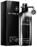 Montale Paris Greyland UNISEX (Kvepalai Vyrams ir Moterims) EDP 100ml
