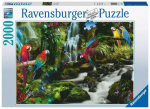 Ravensburger Dėlionė 2000 vnt. - Papūgos džiunglėse