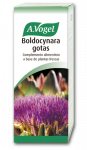 A. VOGEL Vogel Boldocynara 100ml