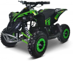 Elektrinis keturratis MUKUTISRIDES BlazeRider 1000W 36V (žalias)