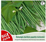 Bikuvalt Pupelės žemaūgės daržinės Contender 20g, 0483