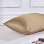 Thxsilk &scaron;ilkinė pagalvės užvalkalas 40 x 60 cm - 100% &scaron;ilkmedžio &scaron;ilko pagalvės užvalkalas - hipoalerginis su paslėptu užtrauktuku - 22 momme dvipusis grynas &scaron;ilkas 1 vnt. taupe