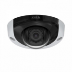 AXIS P3935-LR M12 IP kamera (10 vnt.)