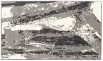 Domoletti KILIMAS PP-RD-23-0130638 RIDGEWOOD0.9X1.5
