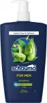 Schauma Vyrams plaukų &scaron;ampūnas 1000 ml (680901)
