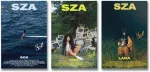 3 dalių S.su.a plakatas Lana Sos Ctrl albumo vir&scaron;elio plakatas kambariui, esteti&scaron;kas drobės sienų menas, miegamojo dekoravimo plakatas 08 x 12 colių (20 x 30 cm)