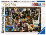 Ravensburger Dėlionė 1000 vnt. - Haris Poteris - Voldemortas