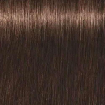 Schwarzkopf Igora Royal Absolutes ilgalaikio poveikio žilų plaukų dažai 60 ml - 5-60