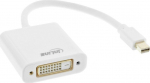 AV adapteris InLine Rodyti Port Mini - DVI- D balta (17194K)
