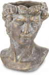 Vazonas