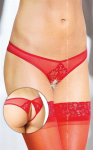 SOFTLINE stringai 2442