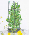 Vazonas su atrama agurkams CUCU GROW BOX, 60x30x178 cm