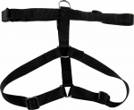 Zolux Nailono diržas &scaron;uniui 50/90cm 25mm juodas