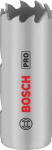 Bosch ĮVAIRIŲ MEDŽIAGŲ PIŽOLĖ 19 MM