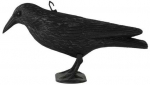 ESPA Apykaklė, 36 cm