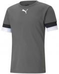 Puma Futbolo Mar&scaron;kinėliai Vyrams TeamRise Jersey Pilkas 704932 13