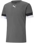 Puma Futbolo Mar&scaron;kinėliai Vyrams TeamRise Jersey Pilkas 704932 13