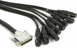 Warm Audio &Scaron;iltas garsas &ndash; Kabelis Audio PREMIER DB25 &ndash; XLRf 6.1m