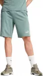 Puma &Scaron;ortai Vyrams Ess Block Shorts Žalias 684690 30