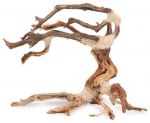 Norimpex Skęstantis bonsai medelis Nr. 24 30x25