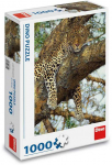 Dėlionė Dino Puzzle 1000 pc Leopard