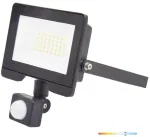 30W LED prožektorius su judesio davikliu MHC, juodas, 6500K, IP44