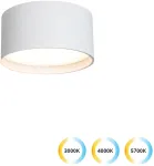 Lubinis &scaron;viestuvas 15W LED lubinis fasado &scaron;viestuvas GABRIEL, baltas, 3000/4000/5700&Kappa;, IP44, 4336100