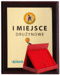 Plastikinis diplomų rinkinys su laminatu