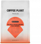 Coffee Plant KAVOS AUGALAS - Kolumbija Miriam Quesada rausvasis burbonas natūralus filtras 250 g