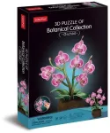 Cubicfun Cubic Fun Orchidea