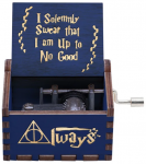 Muzikinė Dėžutė Harry Potter