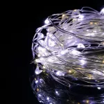 Springos Mikro&scaron;viesos girlianda 20 LED diodų, 1,9 m