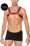 Ouch By Shots Kiotos Leather Bulldog Harness S/M - Adjustable Bonded Leather Chest Strap