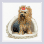 Uab Riolis Kryželiu siuvinėjimo rinkinys Jork&scaron;yro terjeras 25x25 SR2152