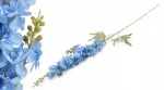 Witek Home Mondex Since 1986R VIRIDIS Dirbtinė gėlė Delphinium 88cm