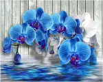 Dcidbei apvalus 5d deimantinis paveikslas orchidėja 50 x 40 cm deimantiniai paveikslai suaugusiems kri&scaron;tolo kalnų kri&scaron;tolas siuvinėjimas deimantų tapyba pagal skaičius orchidėjos zen paveikslai kryželiu siuvinėjimas