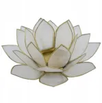 Žvakidė lotoso žiedas lotus tealight žvakėms capiz kriauklė natūrali