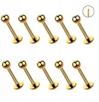 10 vnt. Auksinis Labret auskaras, chirurginis plienas, 1.2/6/3 mm