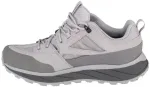 Vyri&scaron;ki žygio batai Jack Wolfskin Terraquest Texapore Low, pilki