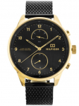 Bestway TOMMY HILFIGER Vyrų laikrodis 1791580 Chase 44mm auksinis