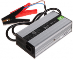 Green Cell LIFEPO4 ĮKROVIKLIS / 14,6 V / 10 A - GC Žalias Cell