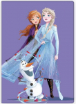 Disney Frozen violetinė vilnonė antklodė 100x140cm