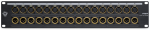 Black Lion Audio Juodas Lion PBR XLR 32 DSub &ndash; Krosownica XLR DB25