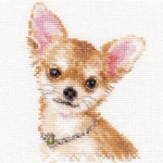 Alisa Beldizart Chihuahua S1-30