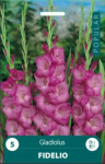 Kardelių svogūnėliai, lot. GLADIOLUS FIDELIO, 5 vnt.