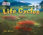 KNYGA Sally Morgan Life Cycles, Band 16/Sapphire